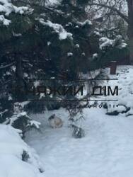 ���� ������� ���� �26