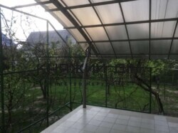 ���� ������� ���� �8