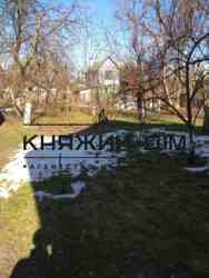 ���� ������� ���� �10