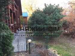 ���� ������� ���� �8