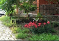 ���� ������� ���� �4