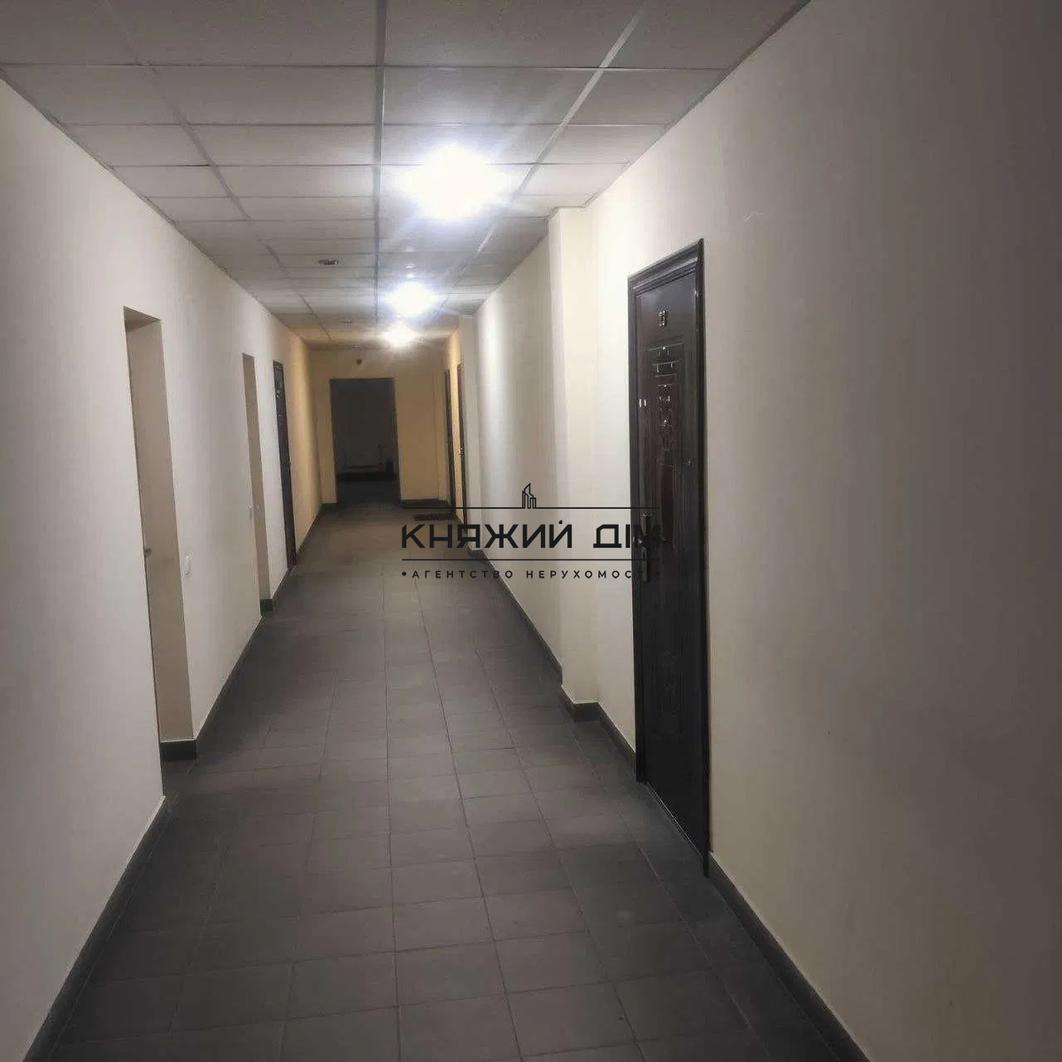 ���� ������� �6