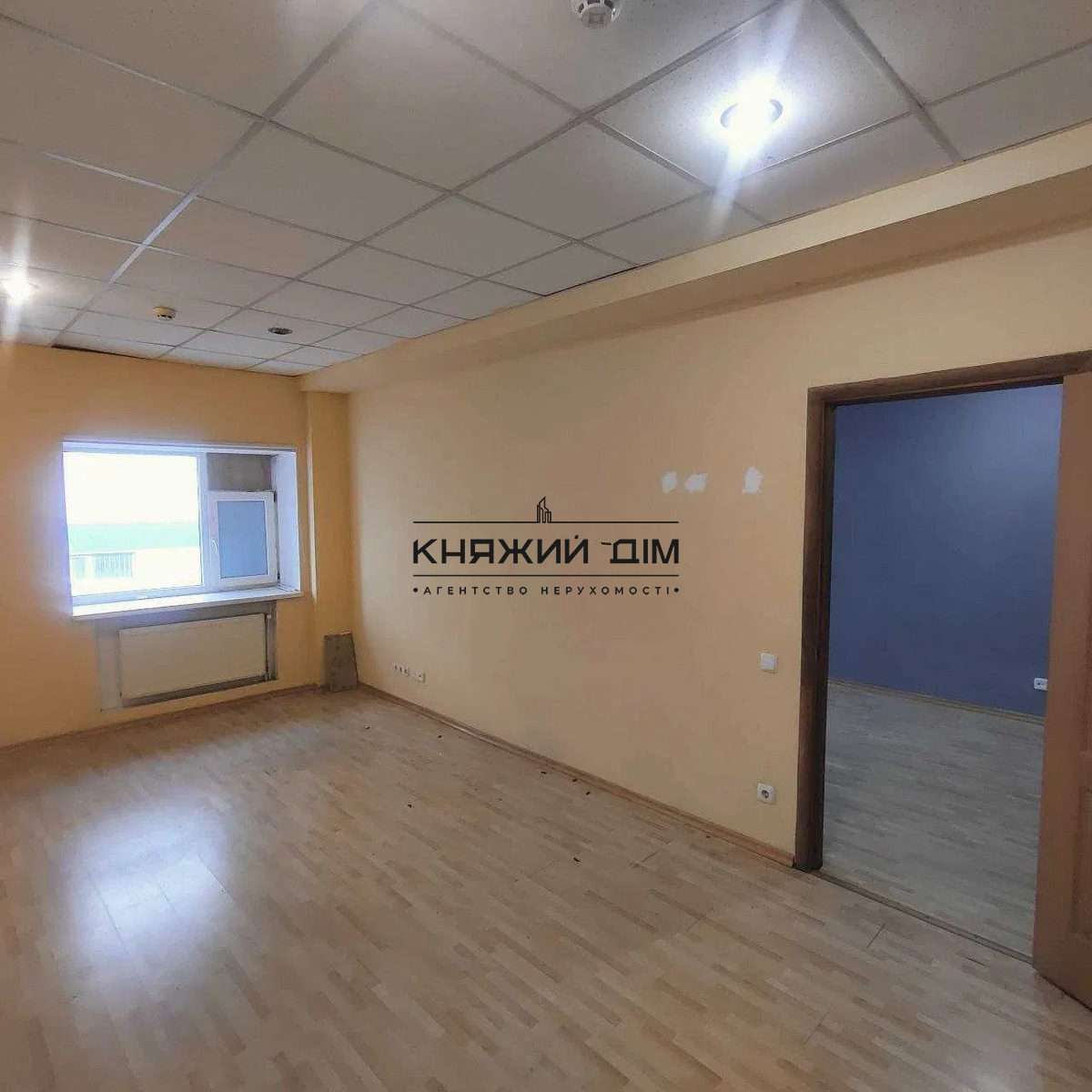 ���� ������� �4