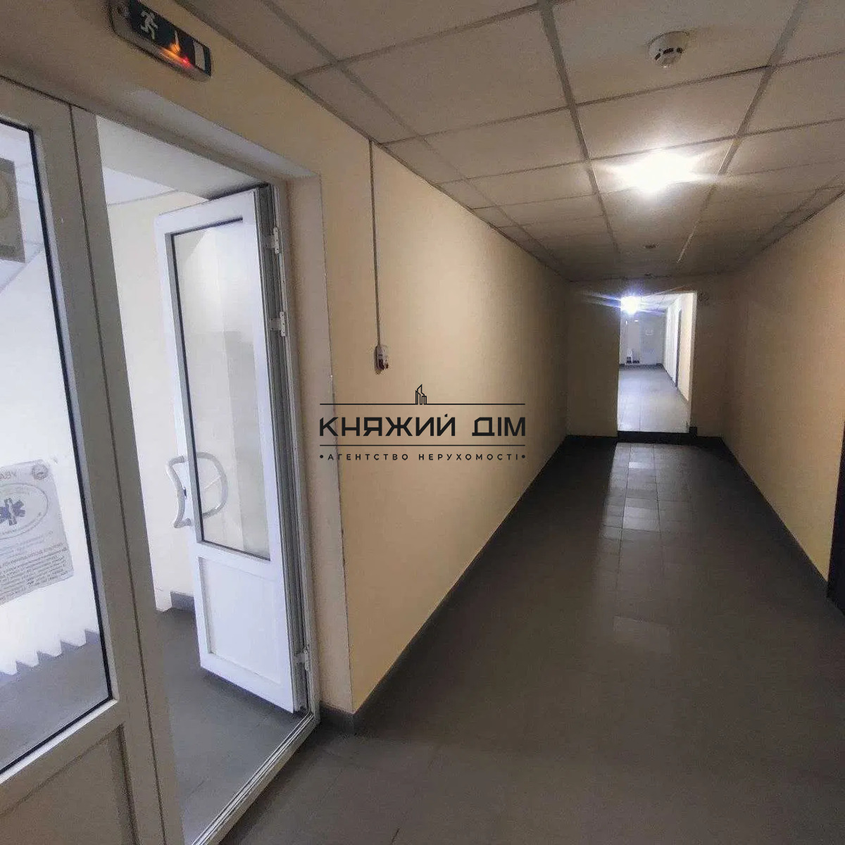 ���� ������� �5