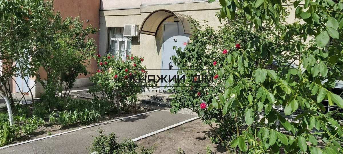 ���� ������� �0