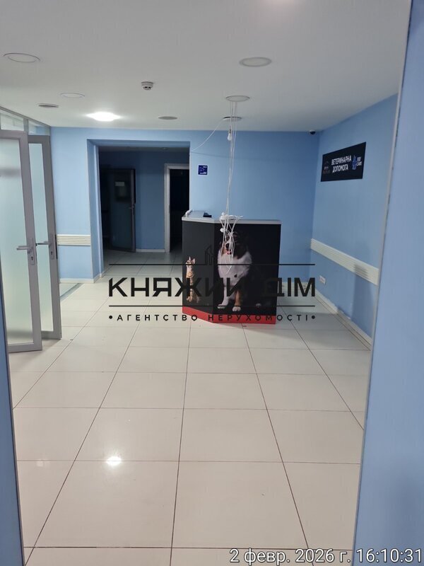 ���� ������� �13