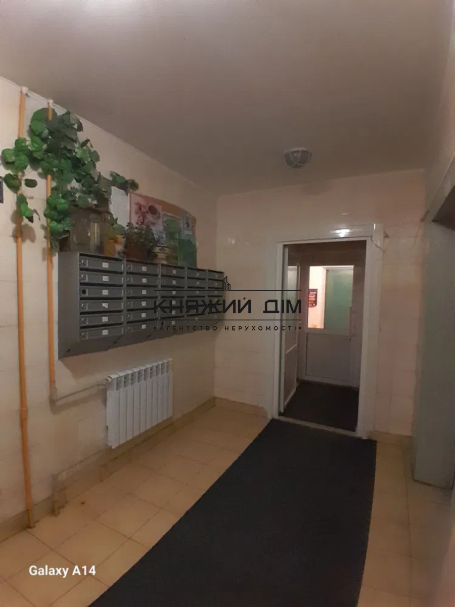 ���� ������� �14