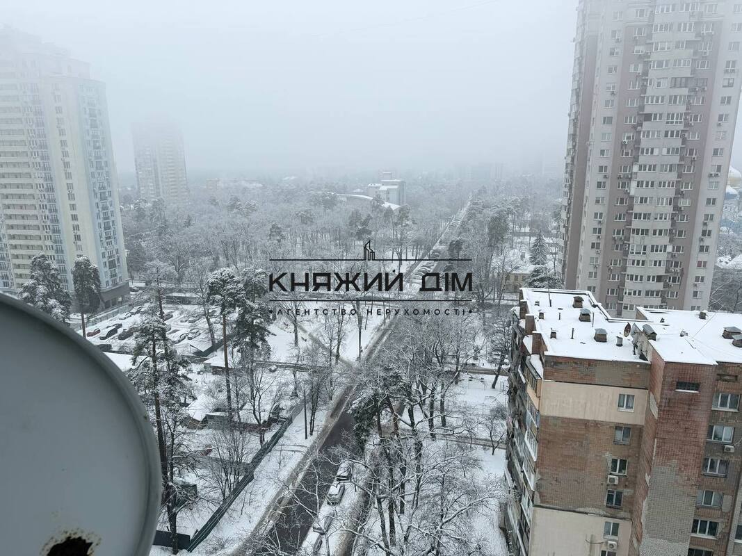 ���� ������� �31