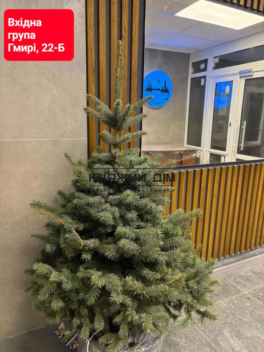 ���� ������� �1