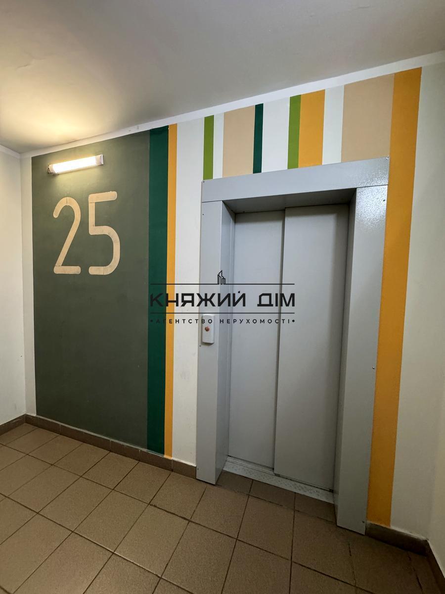 ���� ������� �13