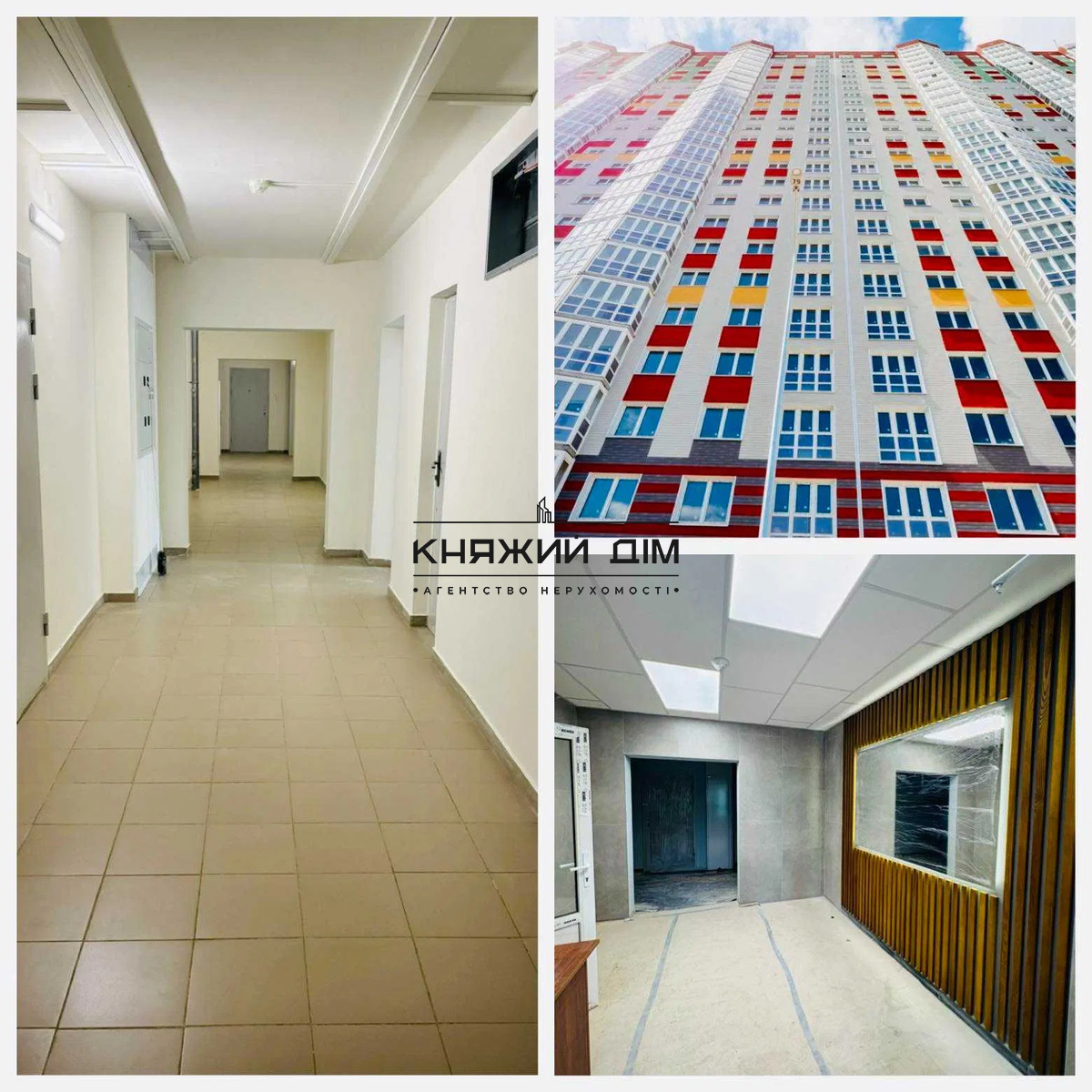 ���� ������� �5