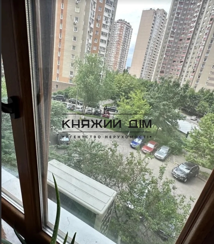 ���� ������� �13