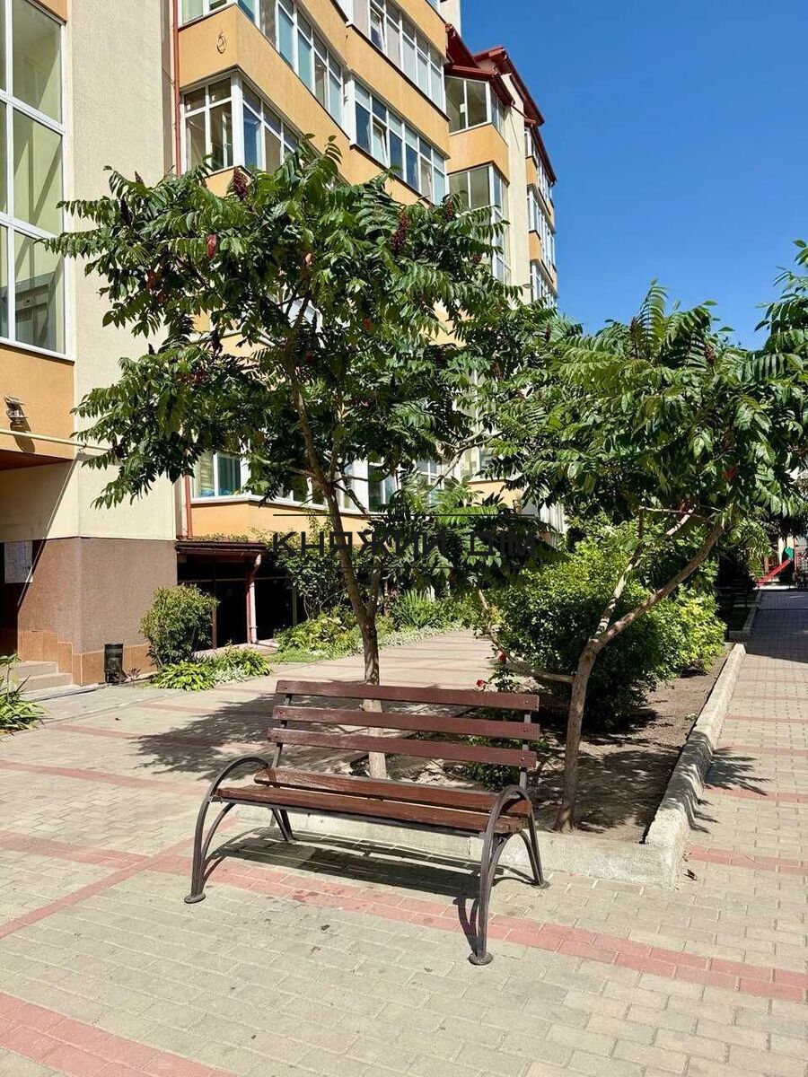 ���� ������� �14