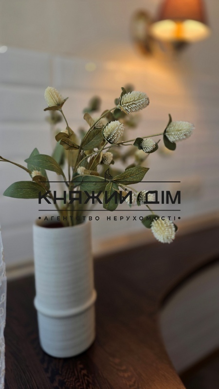 ���� ������� �11