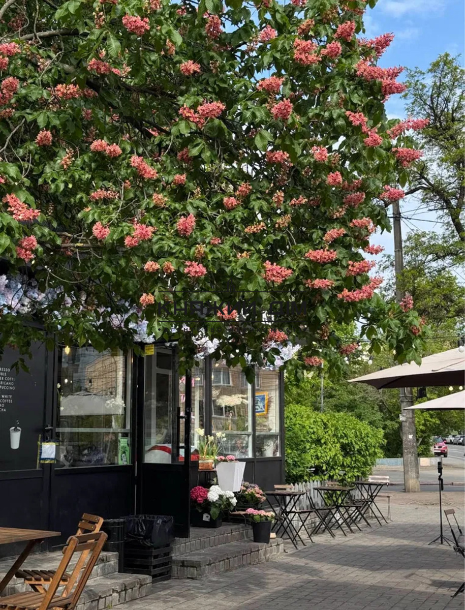 ���� ������� �8