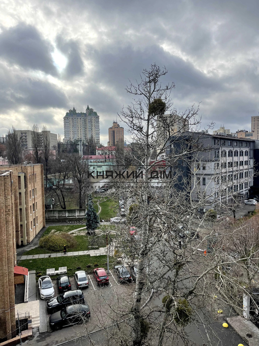 ���� ������� �12