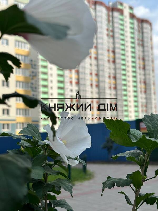 ���� ������� �16