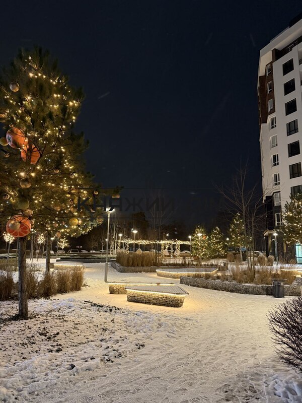 ���� ������� �2