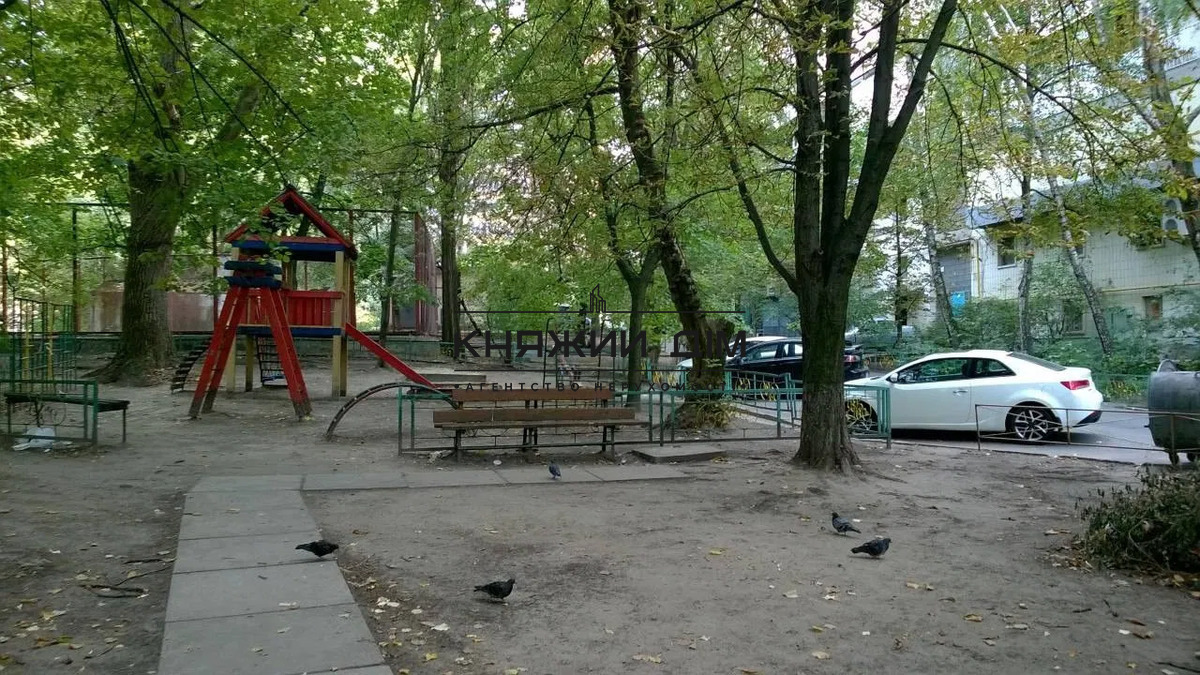 ���� ������� �13