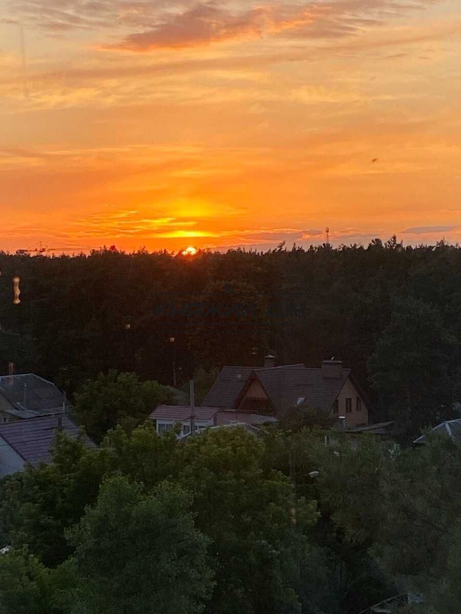 ���� ������� �11