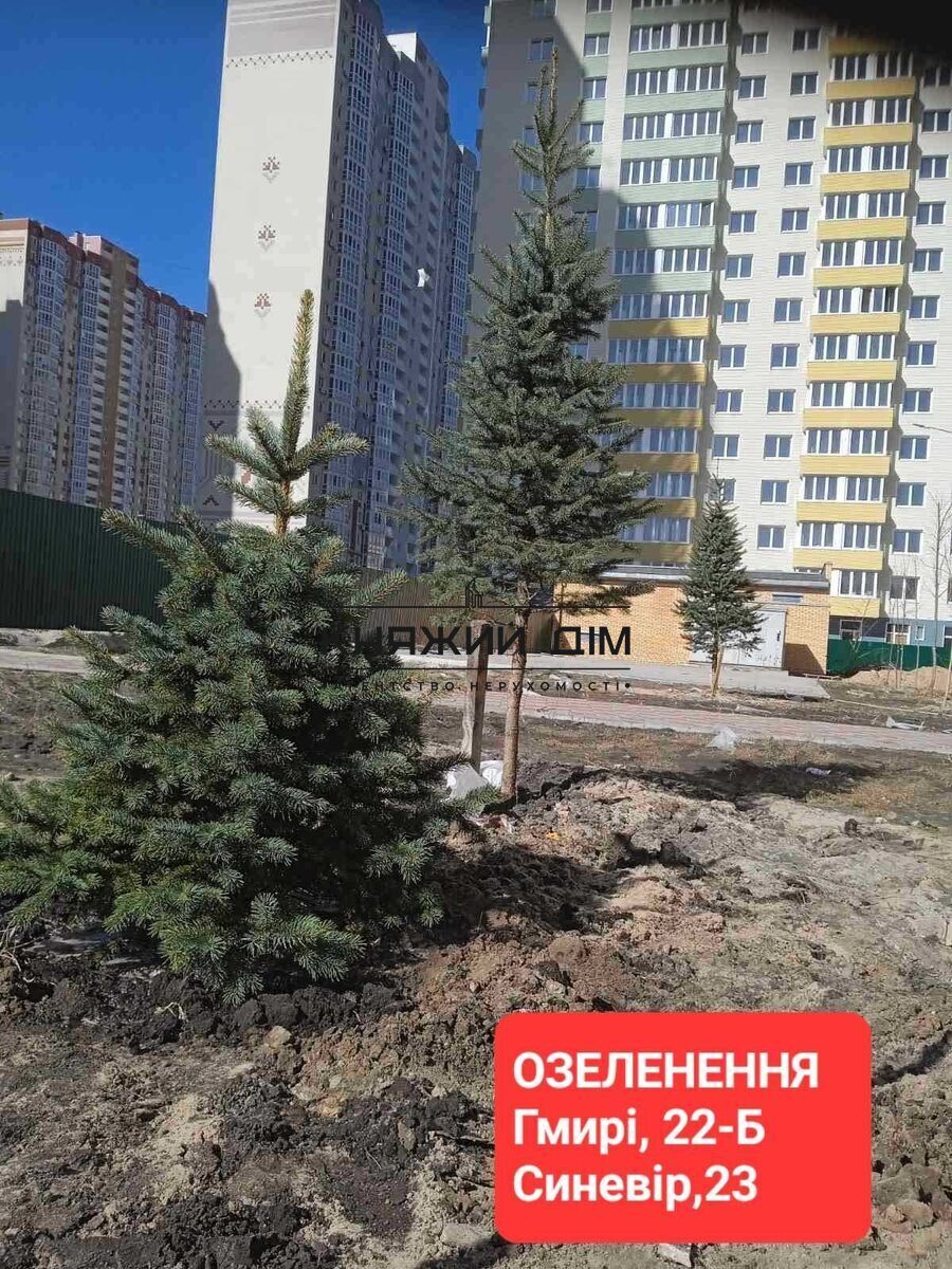 ���� ������� �3