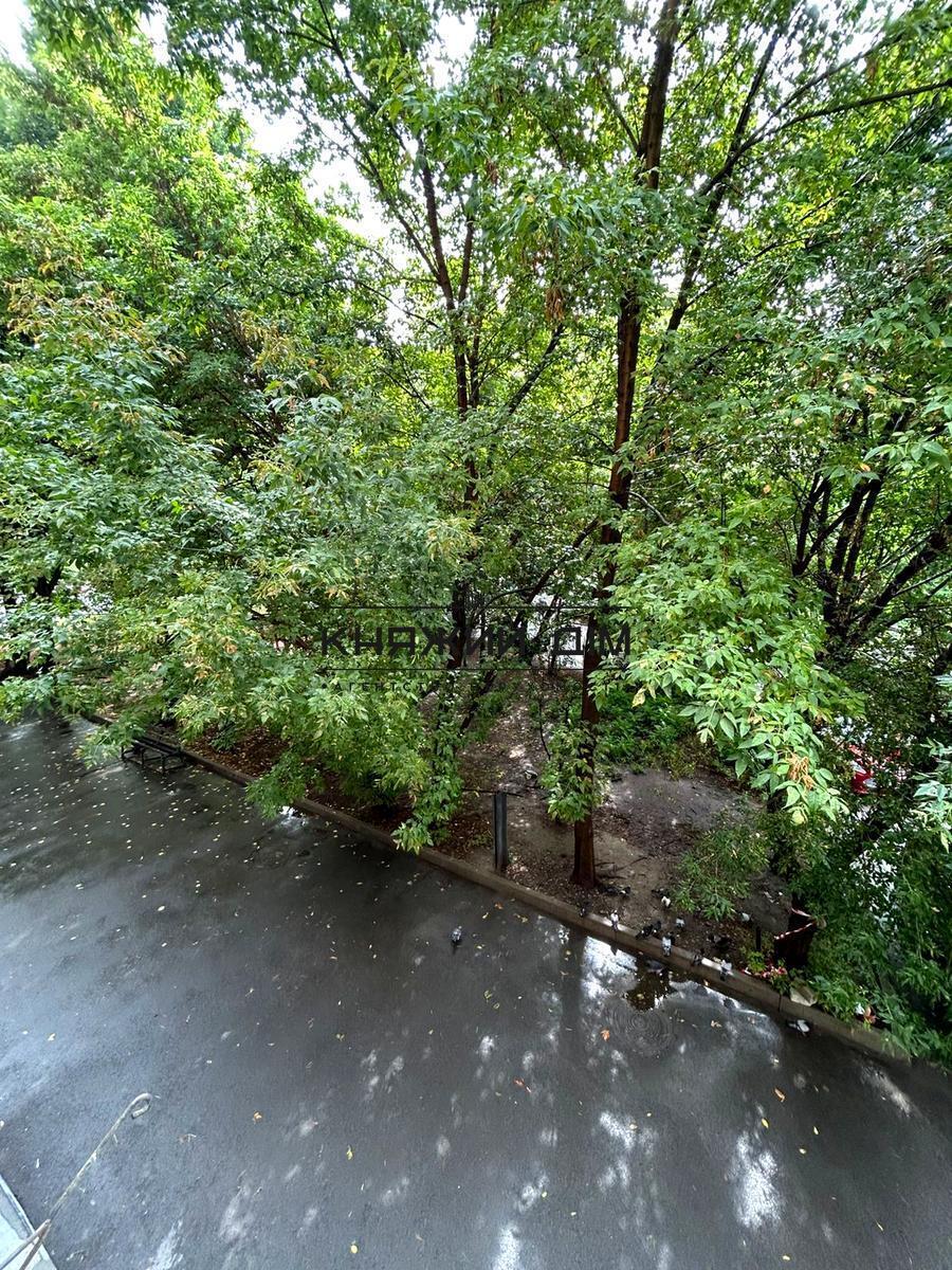 ���� ������� �6