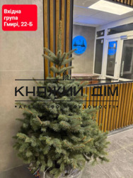 ���� ������� ���� �1