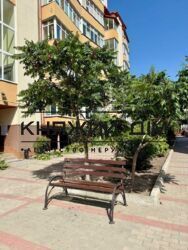 ���� ������� ���� �14