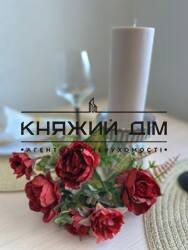 ���� ������� ���� �1