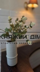 ���� ������� ���� �11