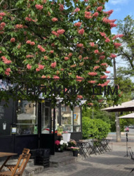 ���� ������� ���� �8