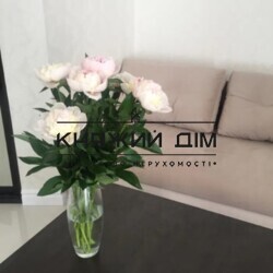 ���� ������� ���� �10