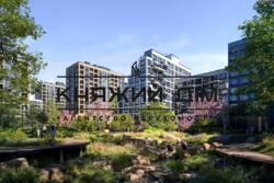 ���� ������� ���� �7