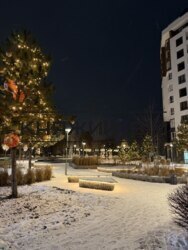 ���� ������� ���� �2