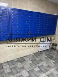 ���� ������� ���� �11