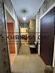 ���� ������� ���� �11