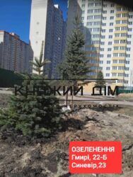 ���� ������� ���� �3