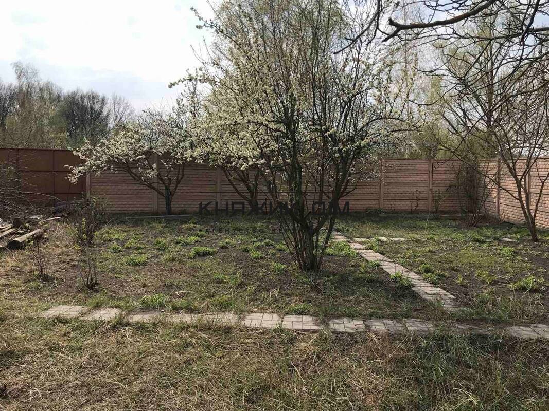 ���� ������� �11