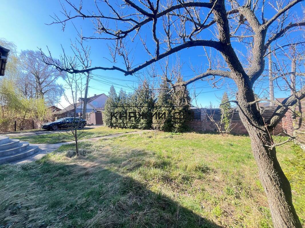 ���� ������� �11