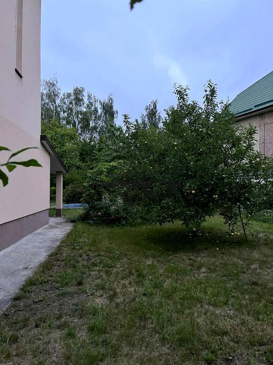 ���� ������� �6