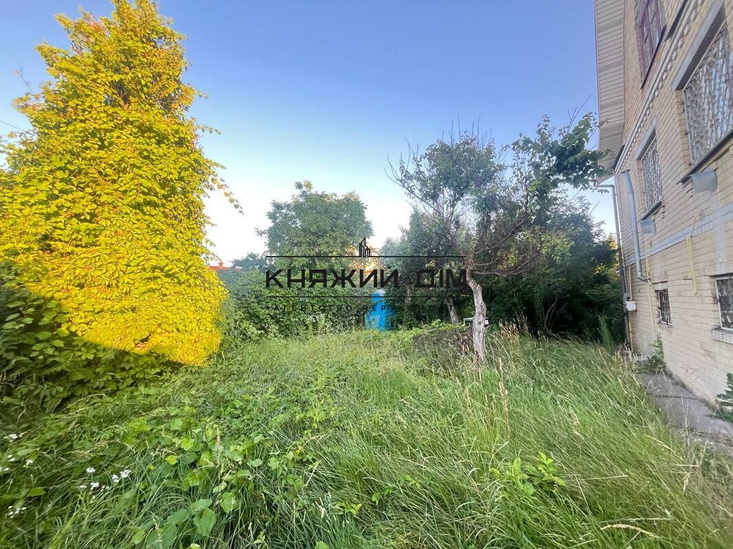 ���� ������� �12