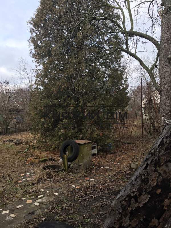 ���� ������� �5