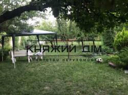 ���� ������� ���� �7