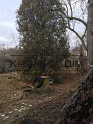 ���� ������� ���� �5