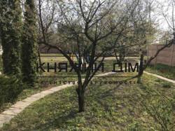 ���� ������� ���� �8