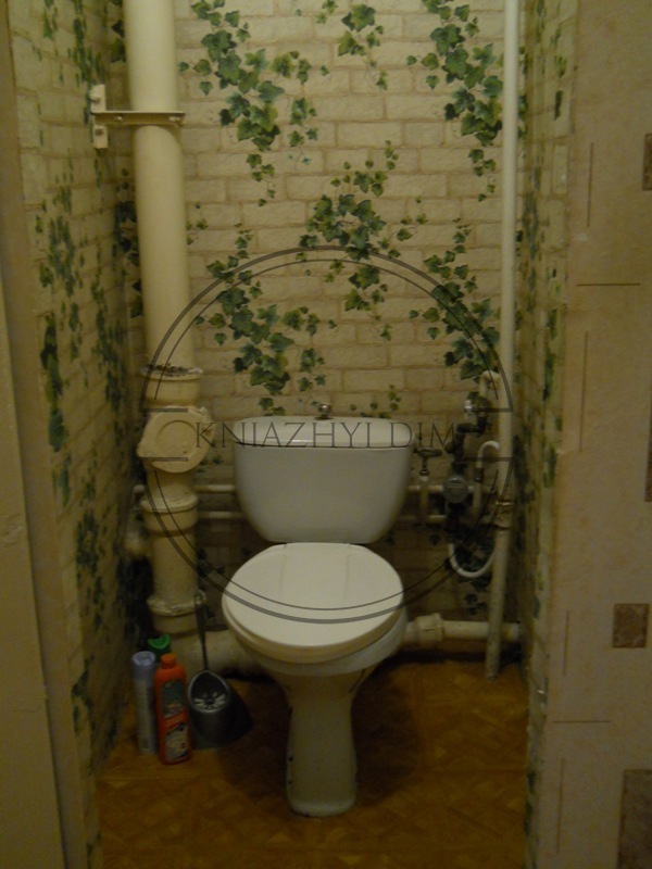 ���� ������� �5