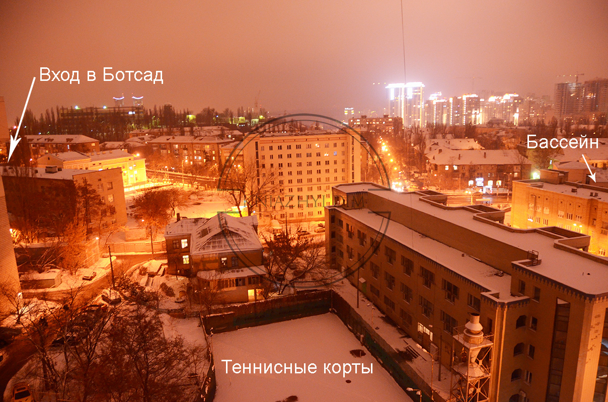 ���� ������� �5